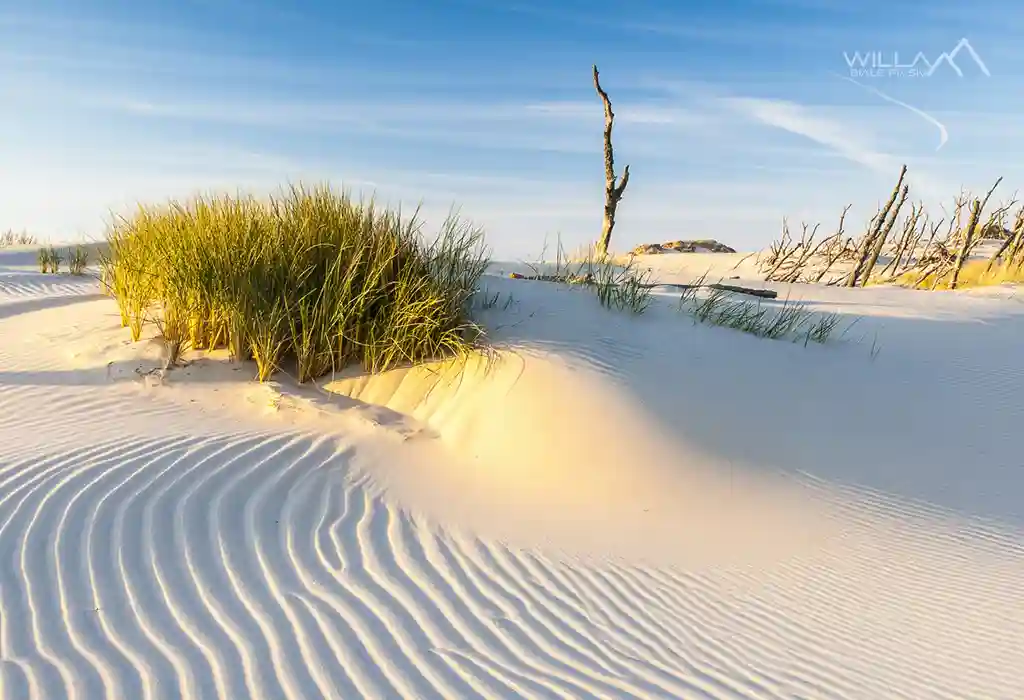 Seaside Tourist Attractions Seaside Tourist Attractions
